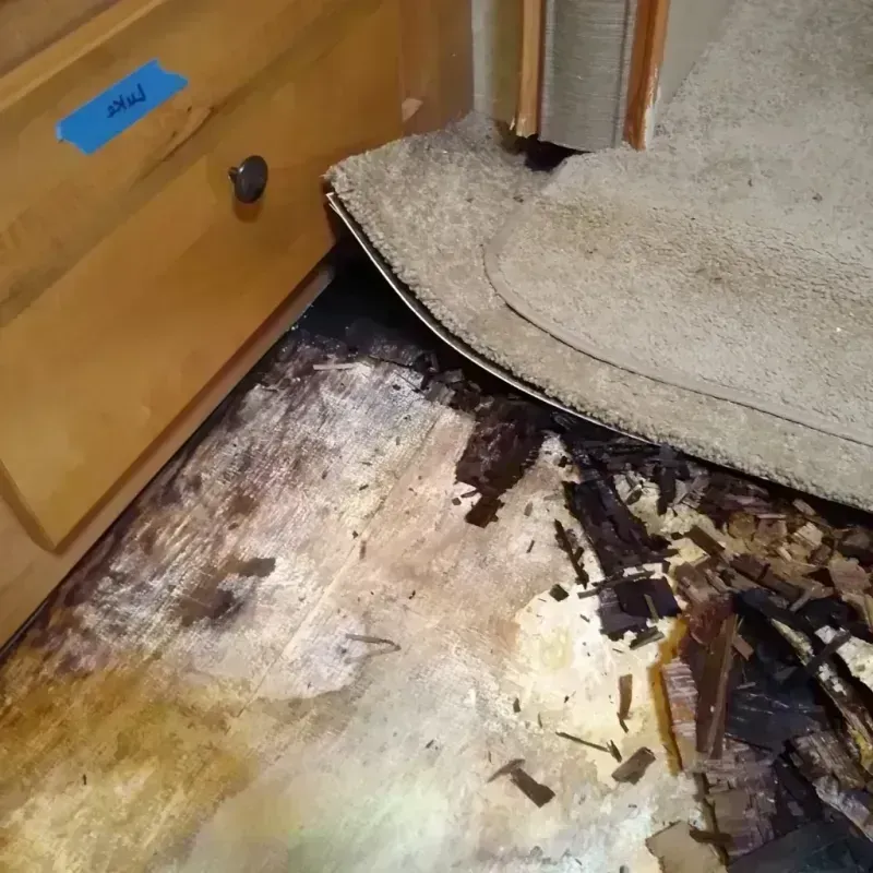 Best Wood Floor Water Damage Service in Windsor Heights, IA